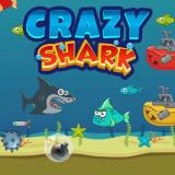 Crazy Shark