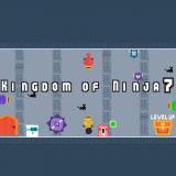 Kingdom of Ninja 7
